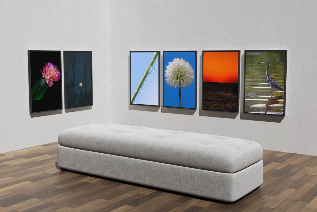 Bahamas Art Gallery