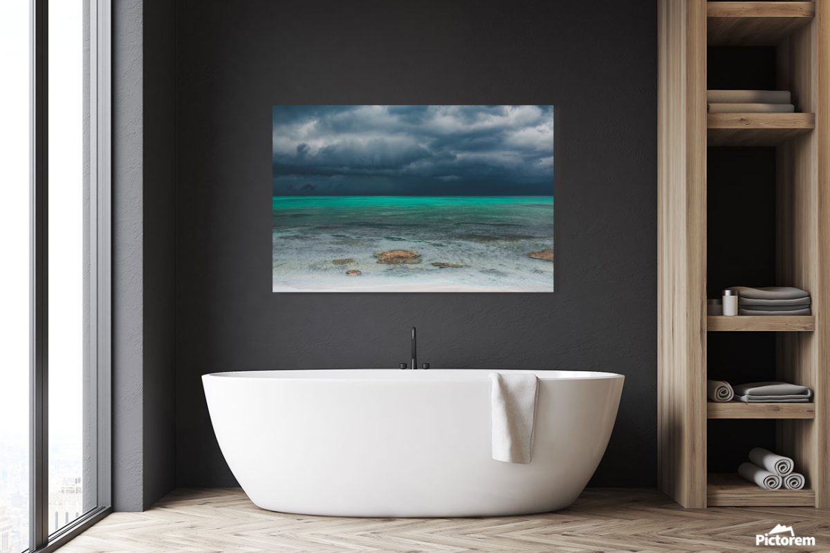 Nassuvian Art Bathroom